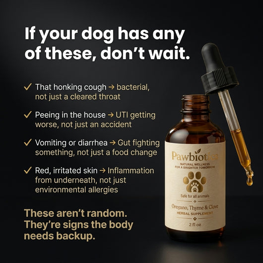 Pawbiotic™ - Kennel Cough Drops