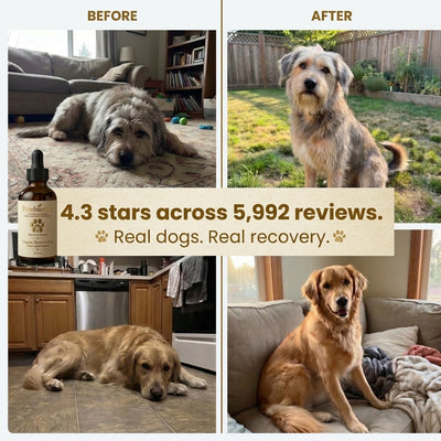 Pawbiotic™ - Kennel Cough Drops