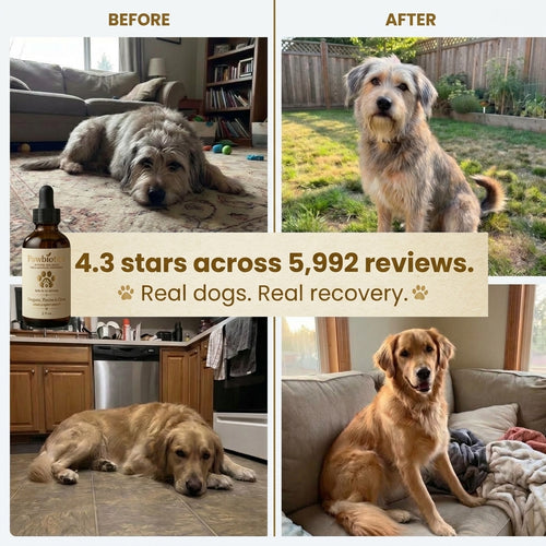 Pawbiotic Drops
