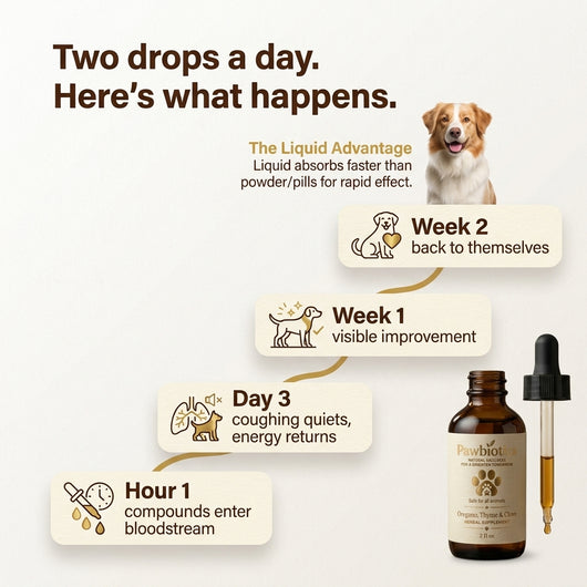 Pawbiotic™ - Kennel Cough Drops