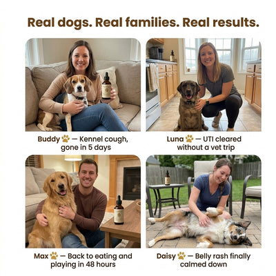 Pawbiotic™ - Kennel Cough Drops